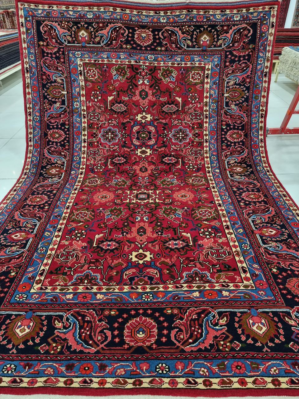 9EFCC44C-F046-433A-B8C5-34185471D1F9