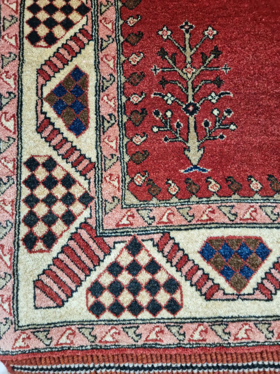 5E975204-D47D-4034-917F-E04F5363D252