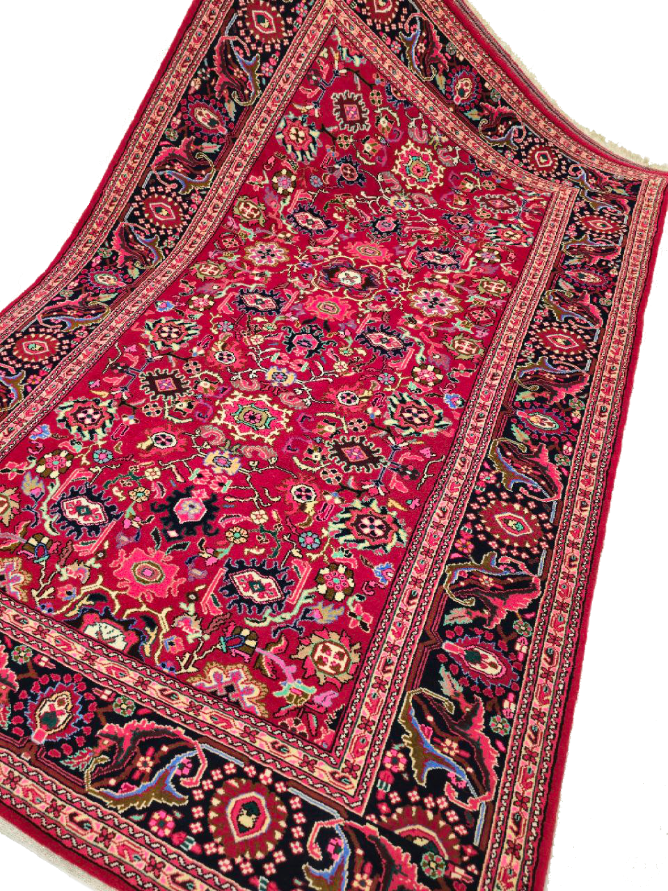 Untitled82_20250201124823